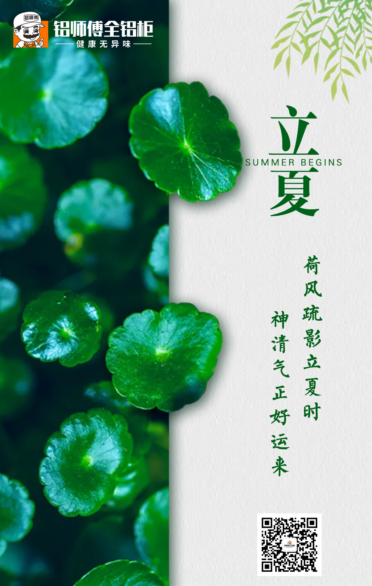 立夏|五月伊始，忽而今夏